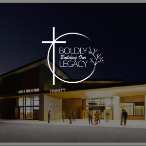 Meet the Team! – A Note from The Let’s Build Trinity Committee.